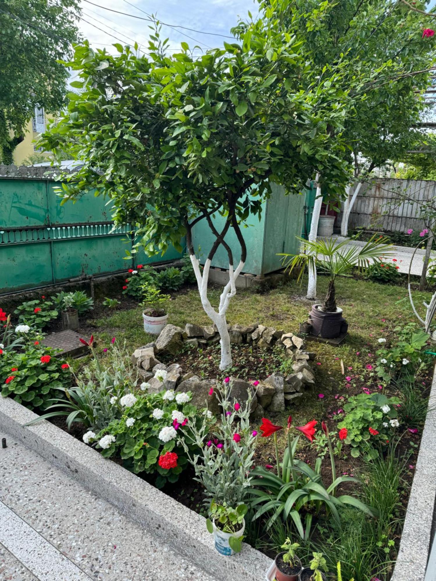Apartamento Host N1 Kutaisi Exterior foto